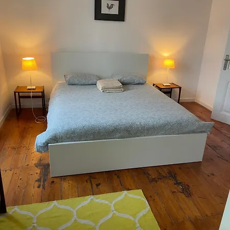 New ! Style In Estrela Lisboa